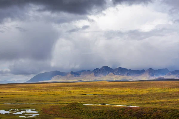 Tundra Landscapes Arctic Circle Autumn Season Beautiful Natural Background — Stockfoto