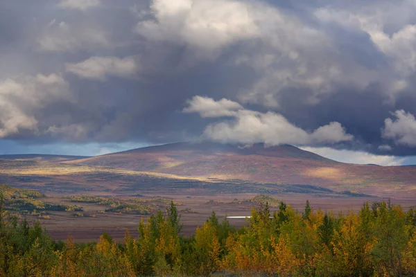 Tundra Landscapes Arctic Circle Autumn Season Beautiful Natural Background — Stock Fotó