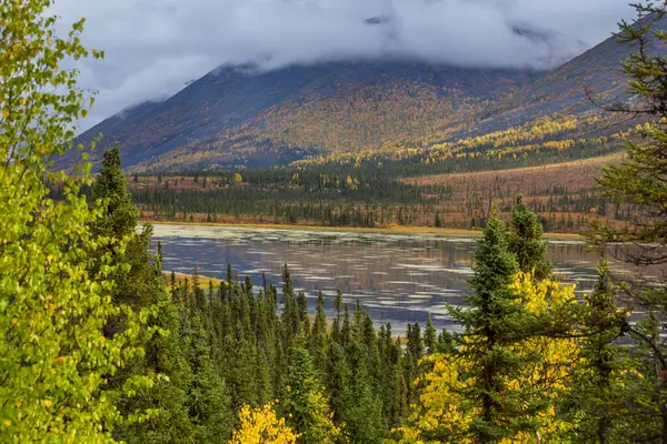 Tundra Landscapes Arctic Circle Autumn Season Beautiful Natural Background — Stock fotografie
