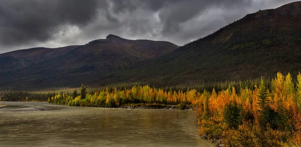 Tundra Landscapes Arctic Circle Autumn Season Beautiful Natural Background — Stok Foto