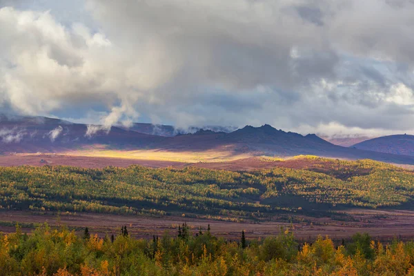 Tundra Landscapes Arctic Circle Autumn Season Beautiful Natural Background — стокове фото