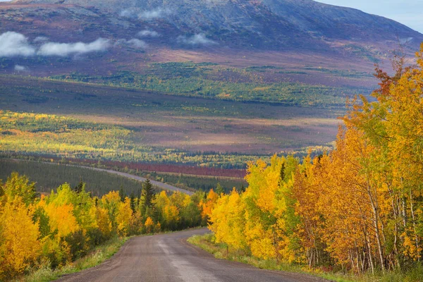 Tundra Landscapes Arctic Circle Autumn Season Beautiful Natural Background — Φωτογραφία Αρχείου