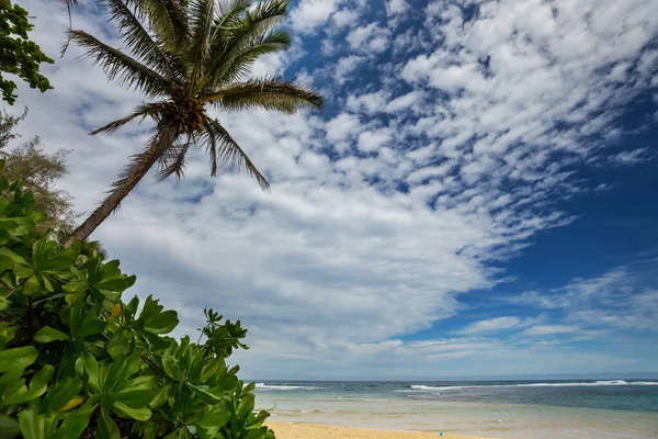 Güneşli Bir Günde Inanılmaz Hawaii Plajı — Stok fotoğraf