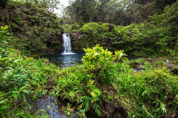 Красивый Тропический Водопад Гавайях — стоковое фото