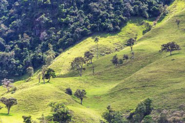 Yeşil Kolombiya dağlarındaki kırsal alanlar
