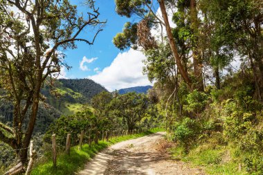 Güney Amerika, Kolombiya 'da kırsal yol
