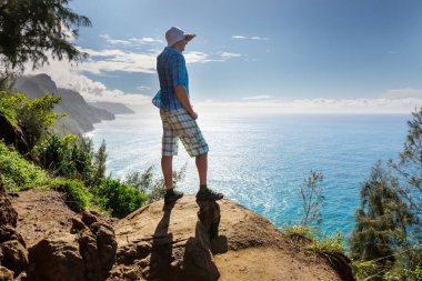 Uzun yürüyüşe çıkan kimse ormanda yeşil, Hawaii, ABD izinde