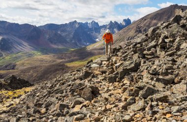 Kutup tundrasında yürüyüş