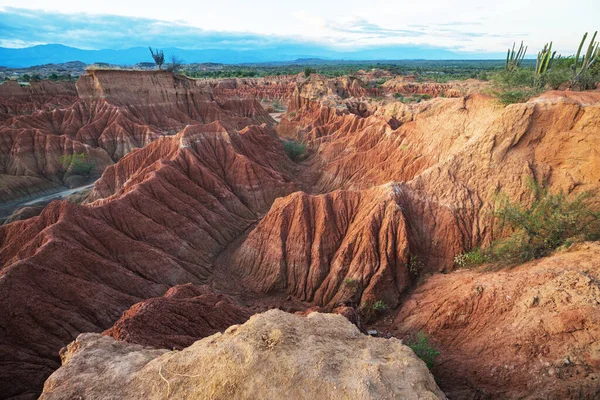 Unusual Landscapes Tatacoa Desert Colombia South America — Stock Photo, Image