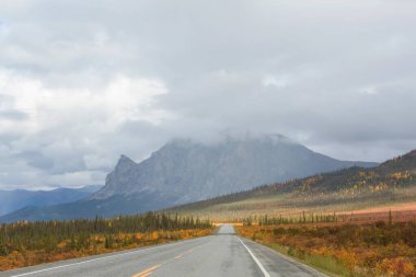 Tundra landscapes above Arctic circle in autumn season. Beautiful natural background.