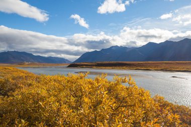 Tundra landscapes above Arctic circle in autumn season. Beautiful natural background.