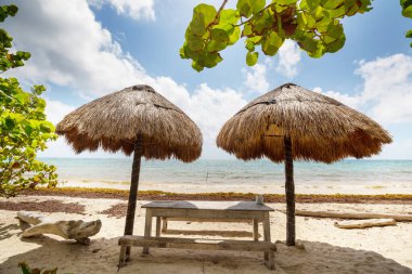 Okyanus kıyısındaki lüks plajlar. Tatil ve tatil konsepti. Tropik plaj.