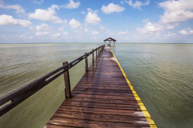 Tropikal sahilde sahil yürüyüşü