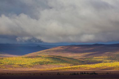 Tundra landscapes above Arctic circle in autumn season. Beautiful natural background.
