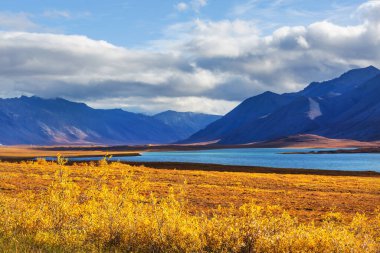 Tundra landscapes above Arctic circle in autumn season. Beautiful natural background.