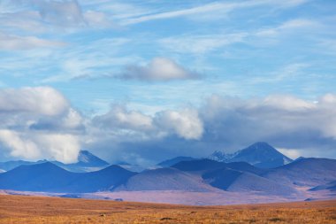 Tundra landscapes above Arctic circle in autumn season. Beautiful natural background.
