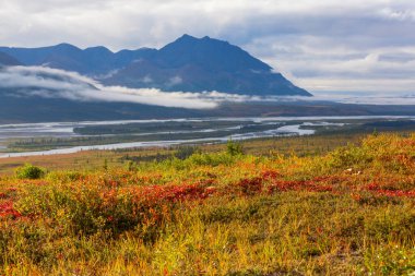 Yazın Alaska 'nın Picturesque Dağları. Kar, kütleleri, buzulları ve kayalık tepeleri kapladı. Güzel doğal arkaplan.