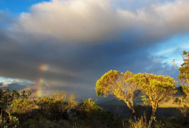 Dağların üstünde gökkuşağı. Güzel doğal manzaralar. Resimli doğa..