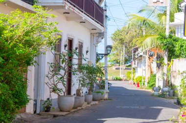 Collection of colorful flowers and ornamental plants in pots on a corner of town street