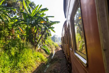 Sri Lanka 'nın en güzel tren yolunda tren.