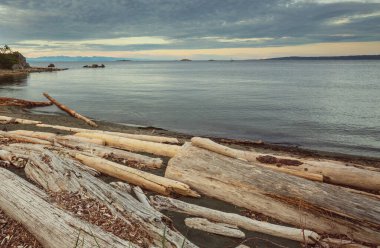 Vancouver Adası, British Columbia, Kanada