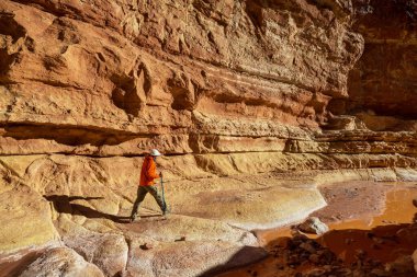 Utah, ABD 'deki Grand Staircase Escalante Ulusal Parkı' ndaki Slot Kanyonu. Utah çöllerinde alışılmadık renkli kumtaşı oluşumları yürüyüşçüler için popülerdir..