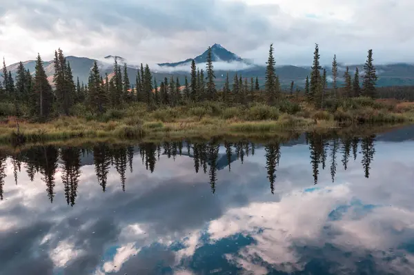 Tyyneys Järvi Alaskan Tundra — kuvapankkivalokuva
