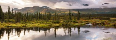 Alaska tundrasında dinginlik gölü.