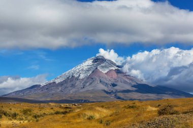 Ekvador, Güney Amerika 'daki güzel Cotopaxi volkanı.