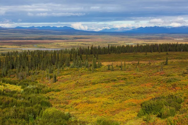 Tundra Landscapes Arctic Circle Dempster Highway Canada — ストック写真