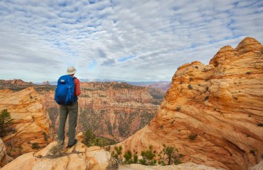 Utah dağlarında yürüyüş. Alışılmadık doğal manzaralarda yürüyüş. Fantastik kumtaşı oluşumları.