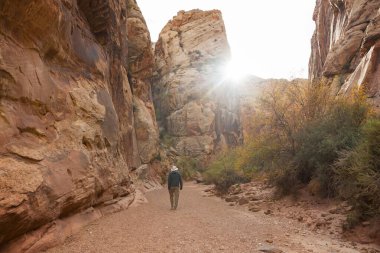 Utah dağlarında yürüyüş. Alışılmadık doğal manzaralarda yürüyüş. Fantastik kumtaşı oluşumları.