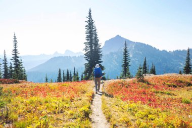 Sonbahar dağlarında yürüyüş. Sonbahar mevsimi teması.