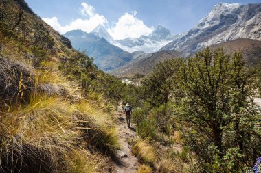 Cordillera dağlarında yürüyüşçü, Peru, Güney Amerika