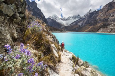 Cordillera dağlarında yürüyüşçü, Peru, Güney Amerika