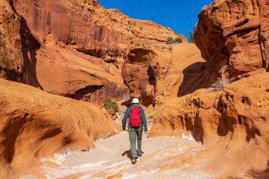 Utah dağlarında yürüyüş. Alışılmadık doğal manzaralarda yürüyüş. Fantastik kumtaşı oluşumları.