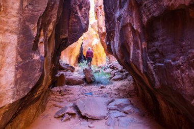 Utah, ABD 'deki Grand Staircase Escalante Ulusal Parkı' ndaki Slot Kanyonu. Utah çöllerinde alışılmadık renkli kumtaşı oluşumları yürüyüşçüler için popülerdir..