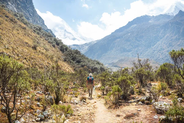 Turysta Górach Cordillera Peru Ameryka Południowa — Zdjęcie stockowe