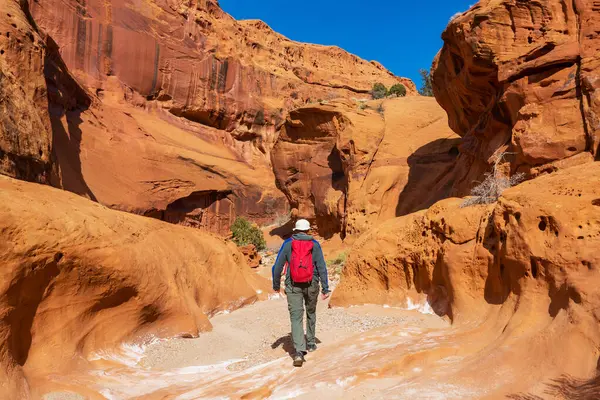 Utah dağlarında yürüyüş. Alışılmadık doğal manzaralarda yürüyüş. Fantastik kumtaşı oluşumları.