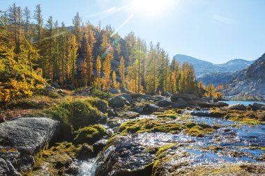 Washington, ABD 'deki güzel Alp gölleri vahşi doğa alanı