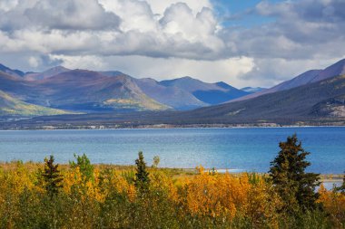 Picturesque Mountains of Alaska in autumn. Snow covered massifs, glaciers and rocky peaks, orange trees. Beautiful natural background.