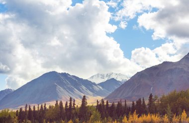 Picturesque Mountains of Alaska in autumn. Snow covered massifs, glaciers and rocky peaks, orange trees. Beautiful natural background.