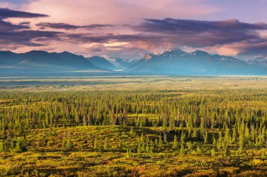Picturesque Mountains of Alaska in autumn. Snow covered massifs, glaciers and rocky peaks, orange trees. Beautiful natural background.