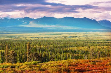 Picturesque Mountains of Alaska in autumn. Snow covered massifs, glaciers and rocky peaks, orange trees. Beautiful natural background.