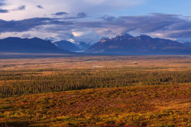 Picturesque Mountains of Alaska in autumn. Snow covered massifs, glaciers and rocky peaks, orange trees. Beautiful natural background.