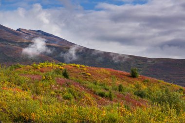 Tundra landscapes above Arctic circle in autumn season. Beautiful natural background.