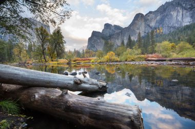 Yosemite Ulusal Parkı, Kaliforniya, ABD 'de güzel bir sonbahar sezonu