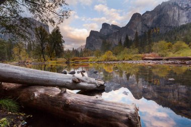 Yosemite Ulusal Parkı, Kaliforniya, ABD 'de güzel bir sonbahar sezonu