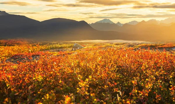 Picturesque Mountains Alaska Autumn Snow Covered Massifs Glaciers Rocky Peaks — Zdjęcie stockowe