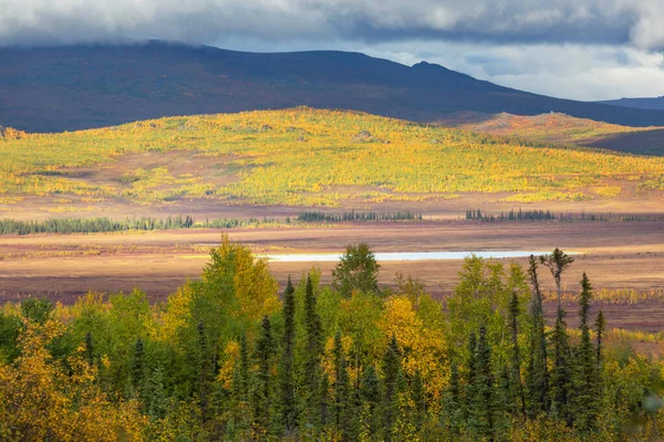 Tundra Landscapes Arctic Circle Autumn Season Beautiful Natural Background — Foto de Stock